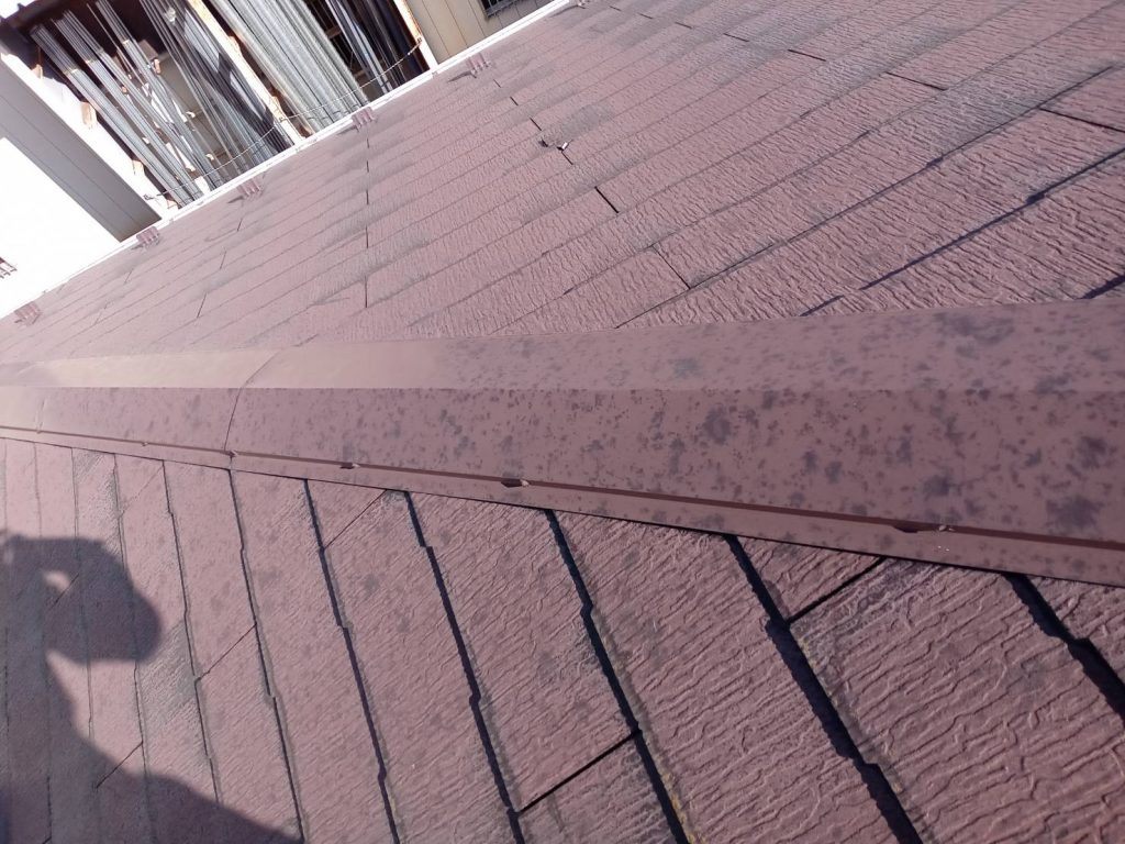 市川市M様 屋根補修・塗装他工事