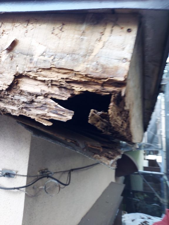 船橋市Y様 屋根・外壁塗装工事