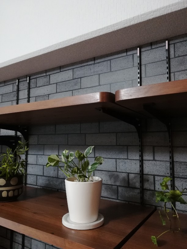 マンションリフォーム工事　 市川市鬼高